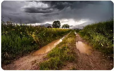 terreno humedo para la plantación y cultivo de manzanos