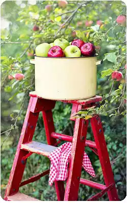 recolección manzanas