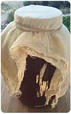 fermentación salvaje espontánea