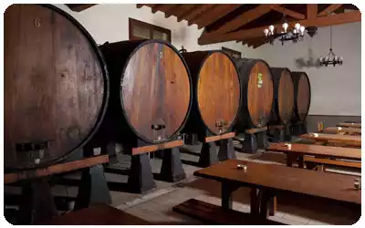 Sidra en Astigarraga. Sidreria Alorrenea