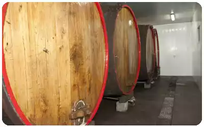 Sidra en Astigarraga. Sidreria Etxeberria