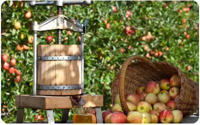 prensas para hacer sidra artesanal